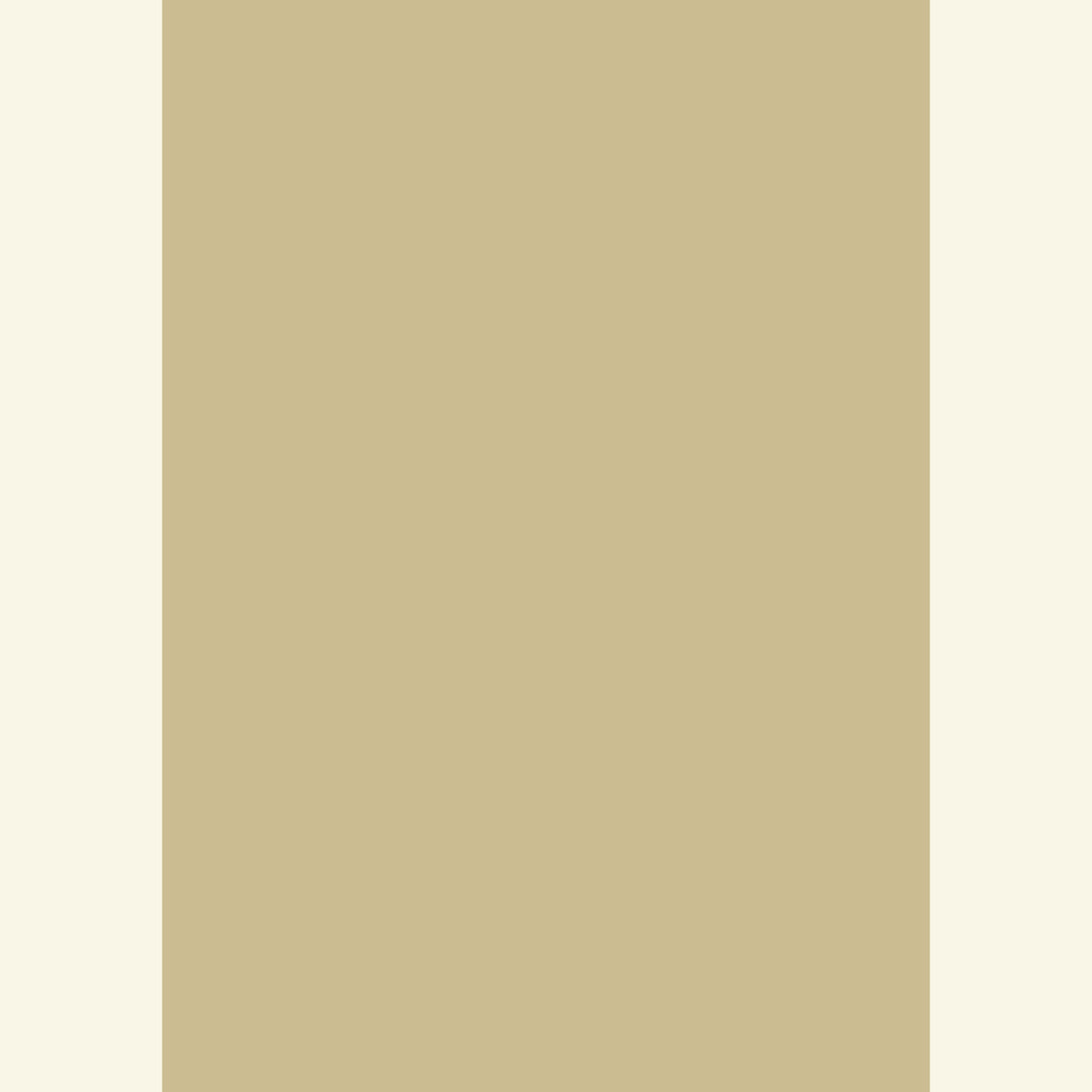 REF-HIGH SEA LIGHT BEIGE-CAPPUCCINO.jpg